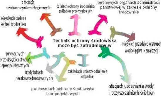 Technik ochrony środowiska: Jak wygląda praca, edukacja i przyszłość tej profesji?