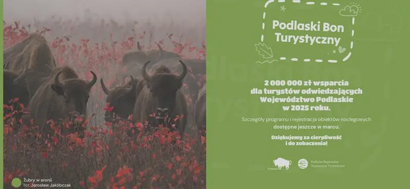 Bon turystyczny dla dziecka
