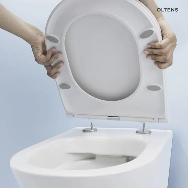 Deska sedesowa dla niepełnosprawnych