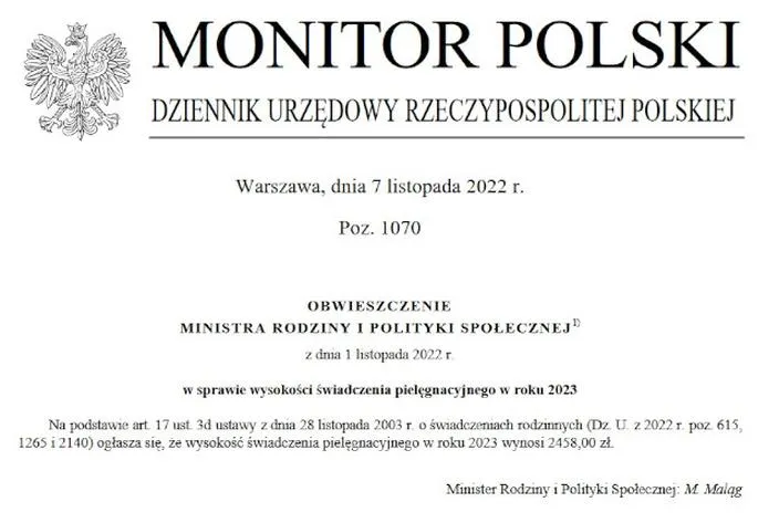 Opieka nad osobą z niepełnosprawnością