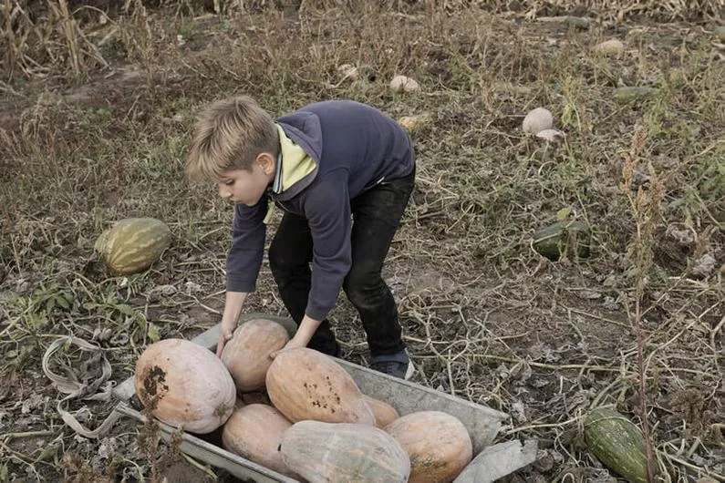 Osoby z niepełnosprawnością