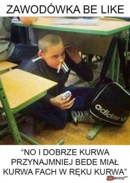 Porównanie programów nauczania