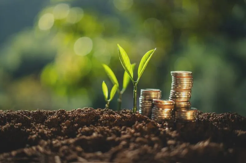 Wsparcie finansowe dla osób niepełnosprawnych