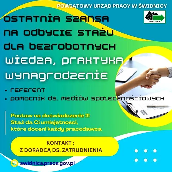 Zasady organizacji stażu